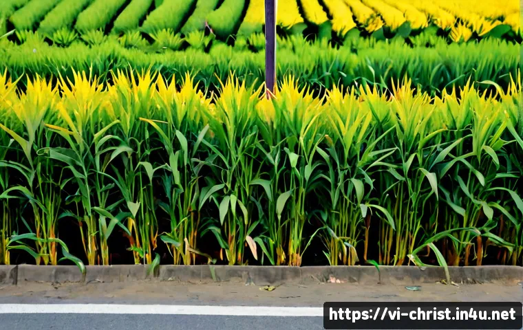 Hiểu nền tảng tín lý Ba Ngôi: nguồn gốc, ý nghĩa và cách chọn tài liệu học phù hợp 4 삼위일체의 교리적 배경 관련 이미지 2